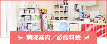 病院案内/診療料金